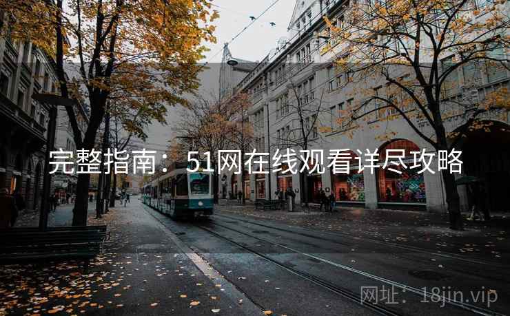 完整指南：51网在线观看详尽攻略