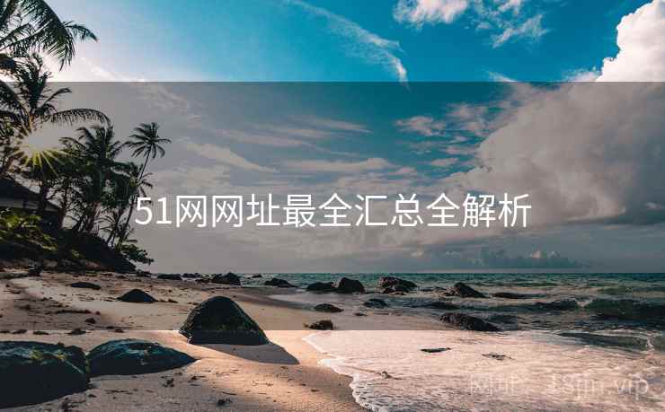 51网网址最全汇总全解析