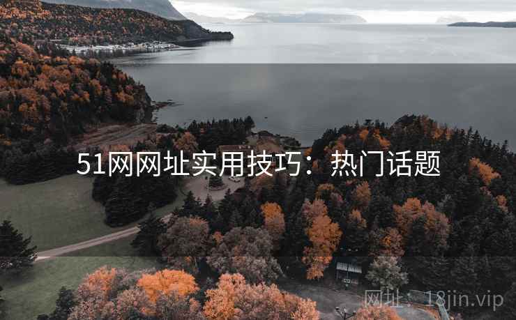 51网网址实用技巧:热门话题 51网网址实用技巧:热门话题