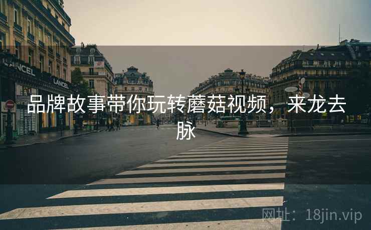 品牌故事带你玩转蘑菇视频，来龙去脉